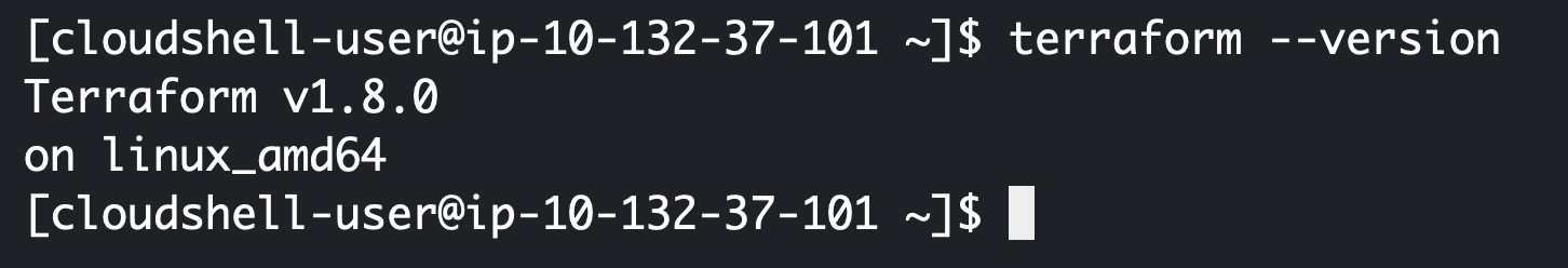 Terraform output of the version flag