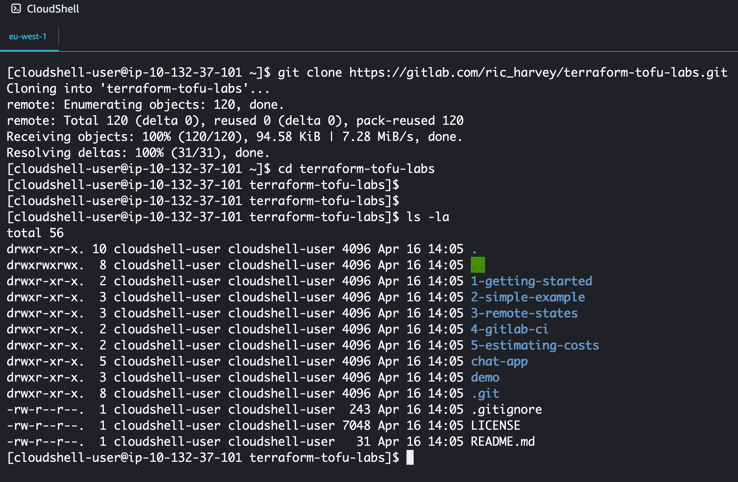 Git Clone the examples